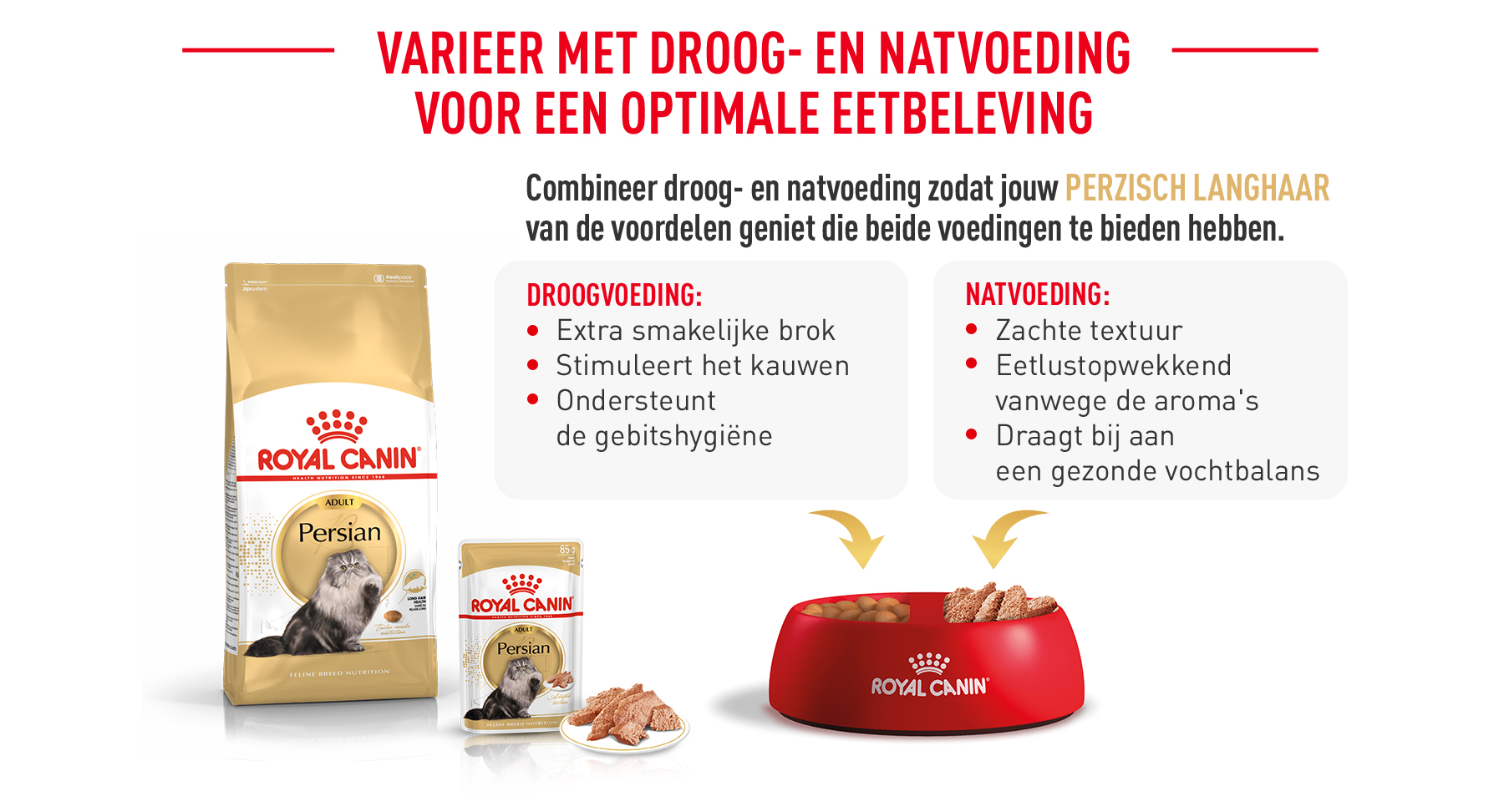 Royal Canin Persian droge en natte voeding afbeelding